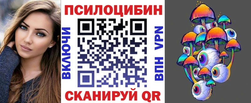 магазин продажи наркотиков  Нерчинск  kraken зеркало  Галлюциногенные грибы Psilocybe 